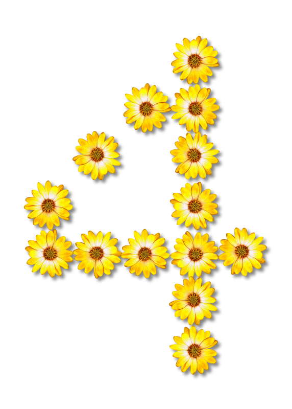 Floral alphabet, 4