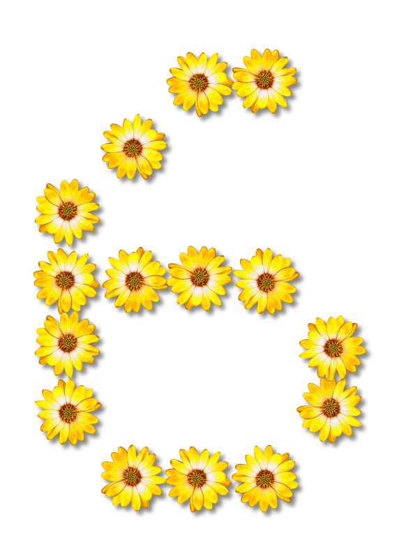 Floral alphabet, 6
