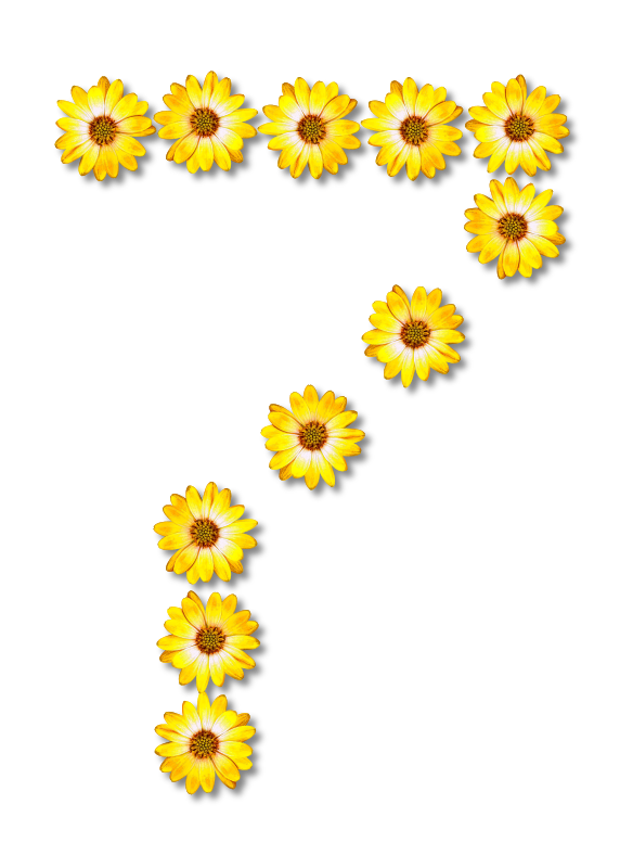 Floral alphabet, 7
