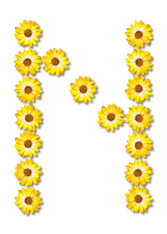 Floral alphabet, N