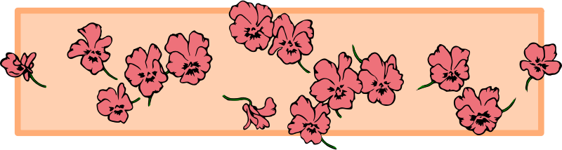 Floral divider (colour)