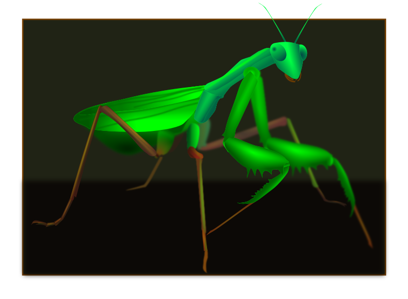 Green Mantis 