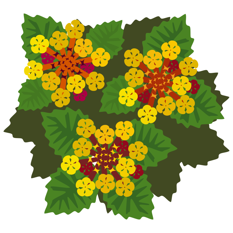 Flower 35