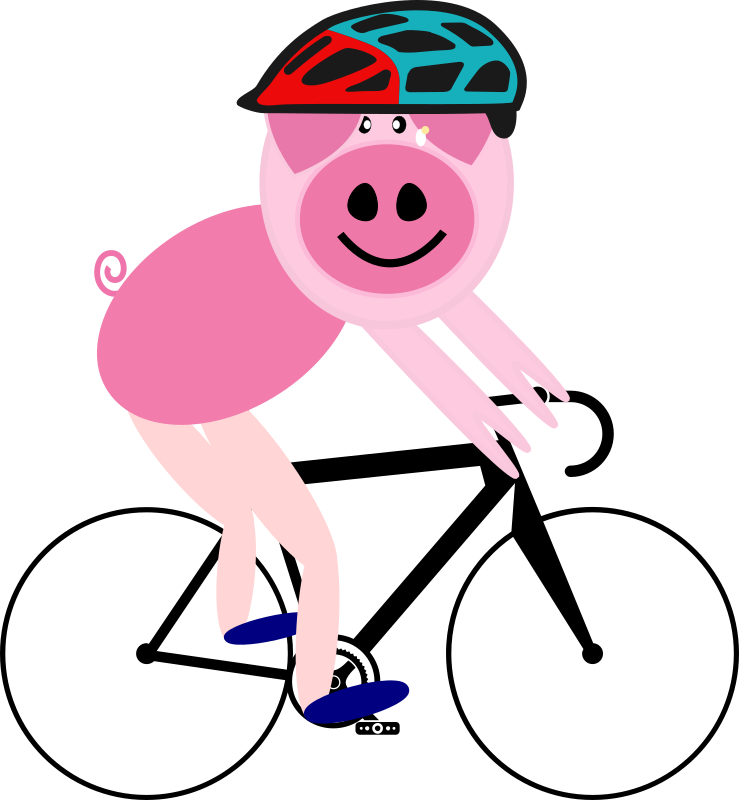 Cycling pig
