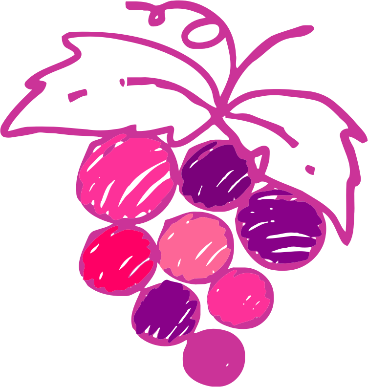 Sketched grapes