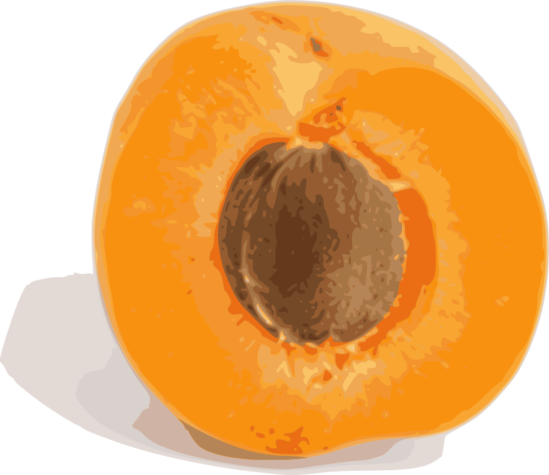 Abricot (coupe)