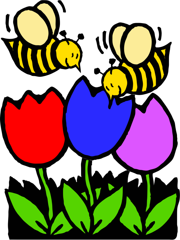two bees three flowers