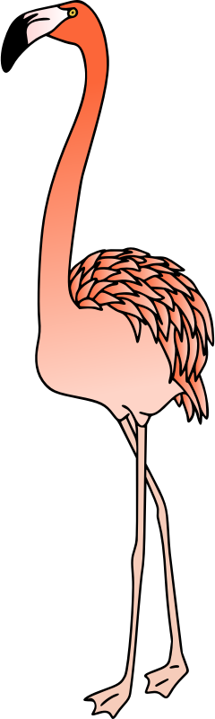 Flamingo 4 (colour)