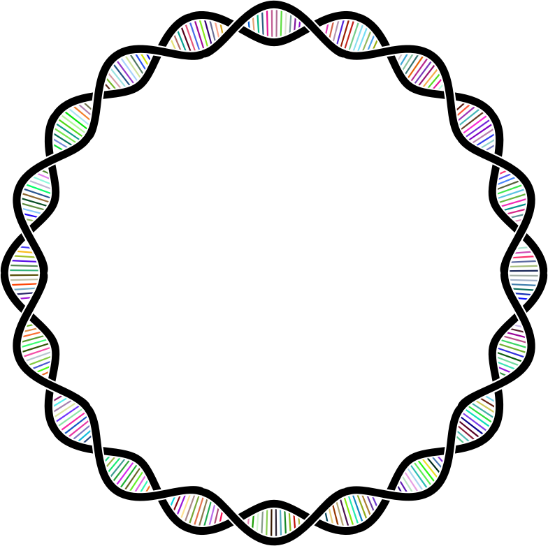 DNA Helix Frame Prismatic