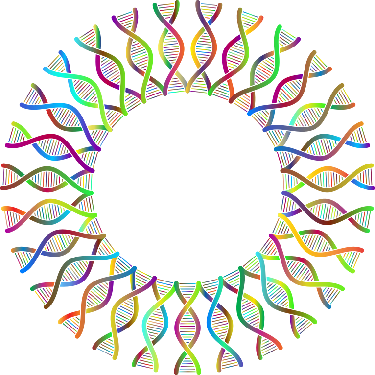 DNA Helix Frame II Polyprismatic