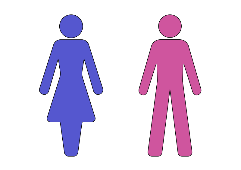 Swap Gender Roles