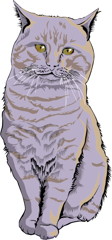 Cat Illustration By emrkcc77