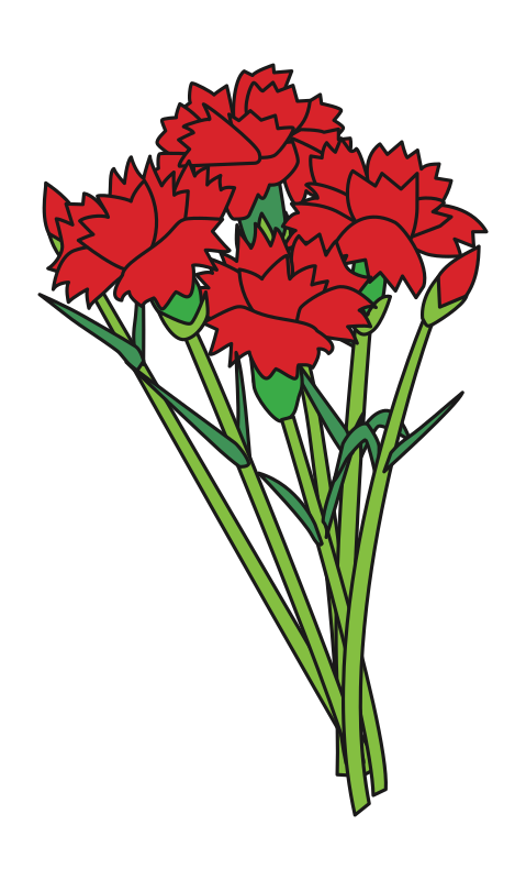 Carnations Bounquet Flowers