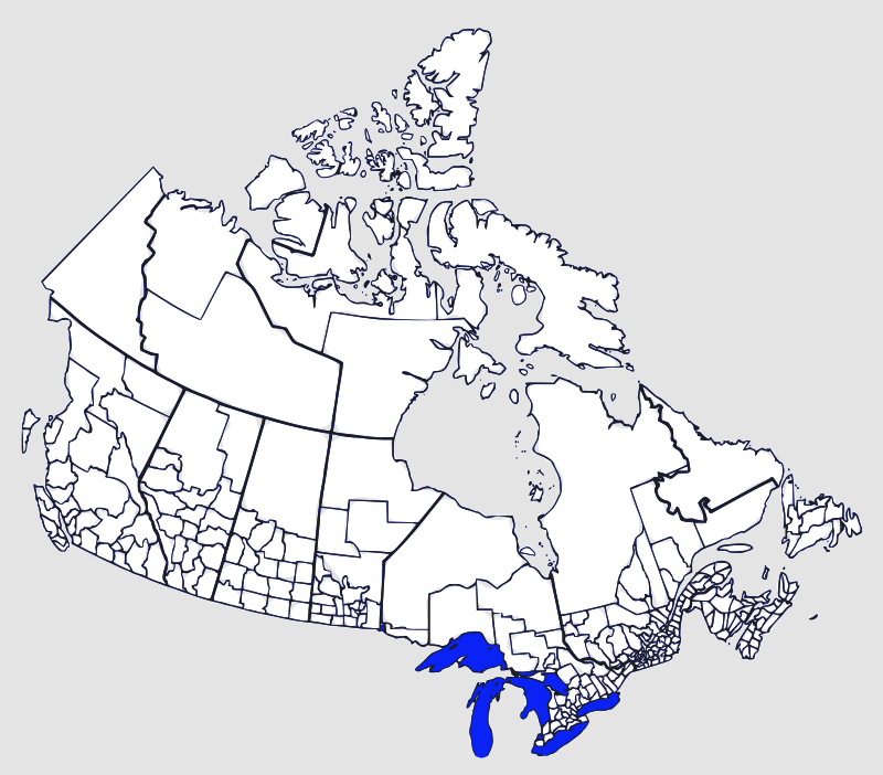 Census Divisions of Canada