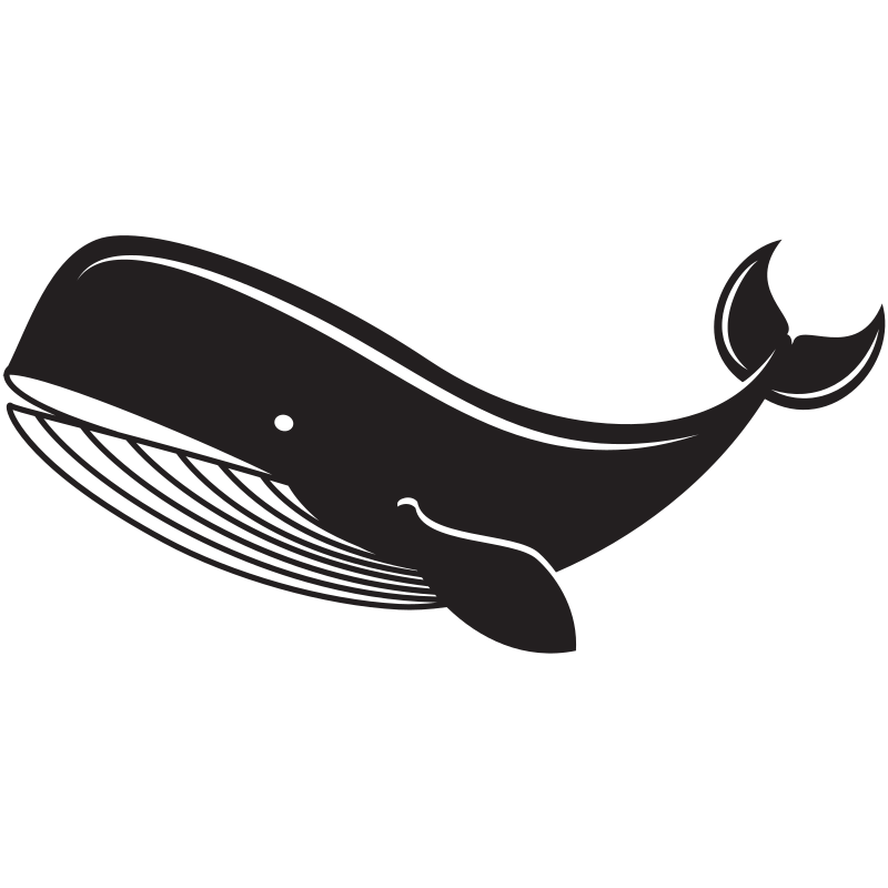 Big whale
