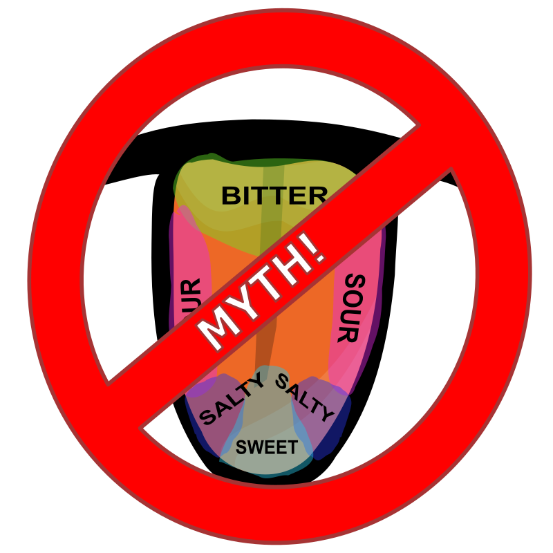 Taste Map Myth