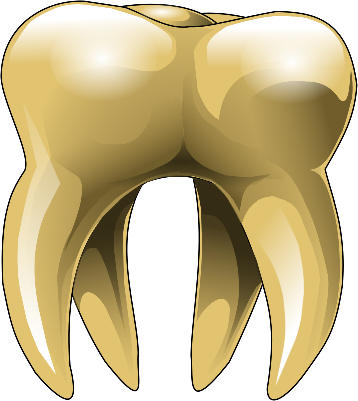 Gold tooth