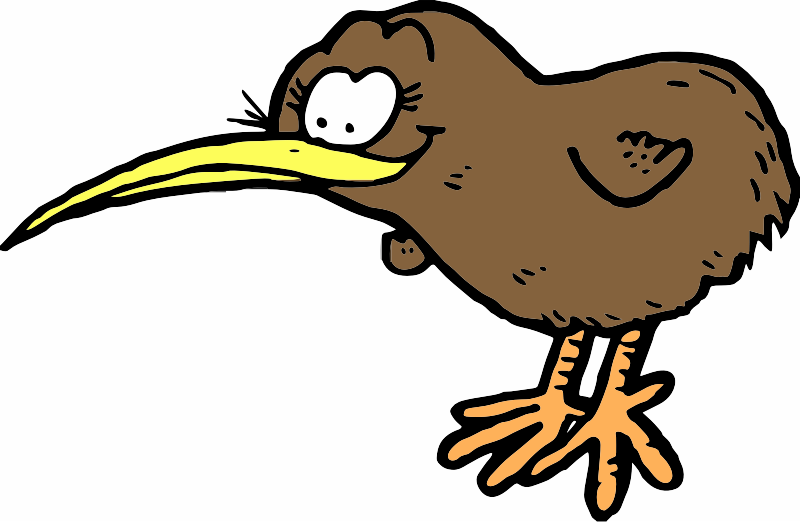 A brown kiwi bird