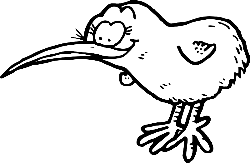 A Kiwi Bird