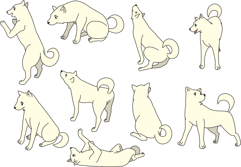 Shiba Inu Dog Collection (different poses)