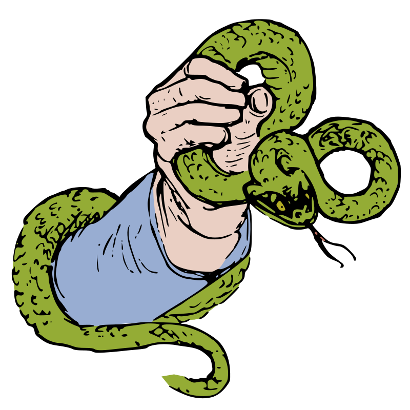 Hand Holds a Snake 2 - Colour