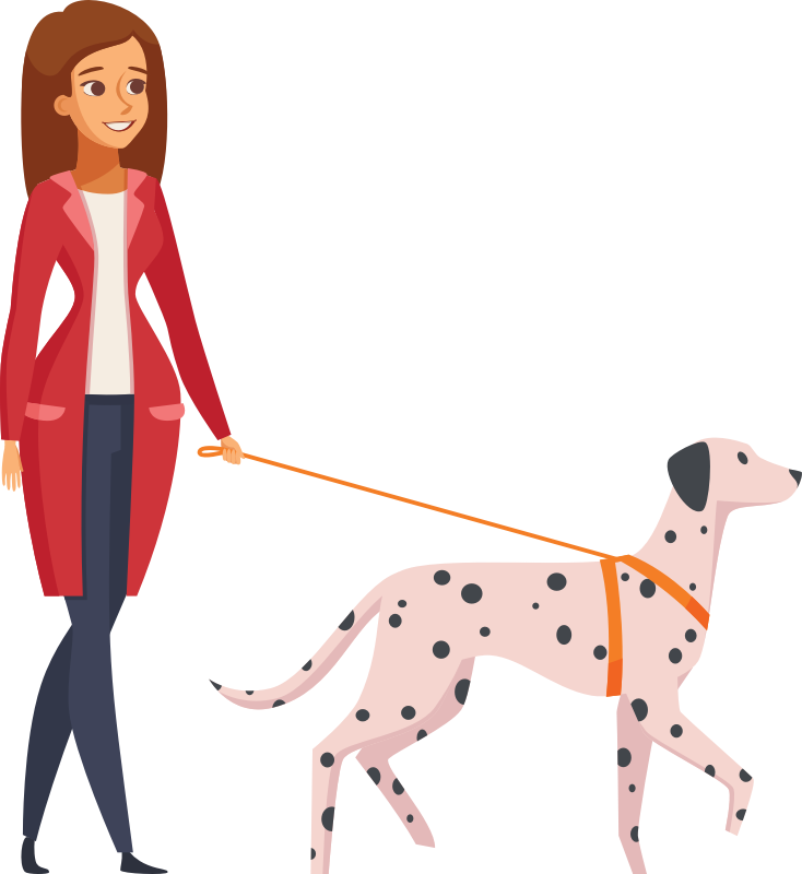 Woman Walking Dalmatian Dog