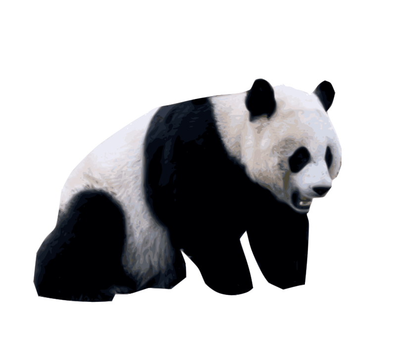 Realistic Panda