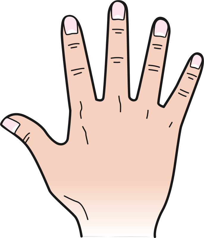 Back of hand
