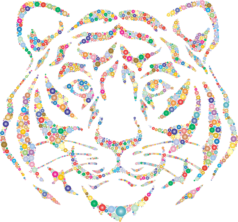 Year Of The Tiger Circles Prismatic