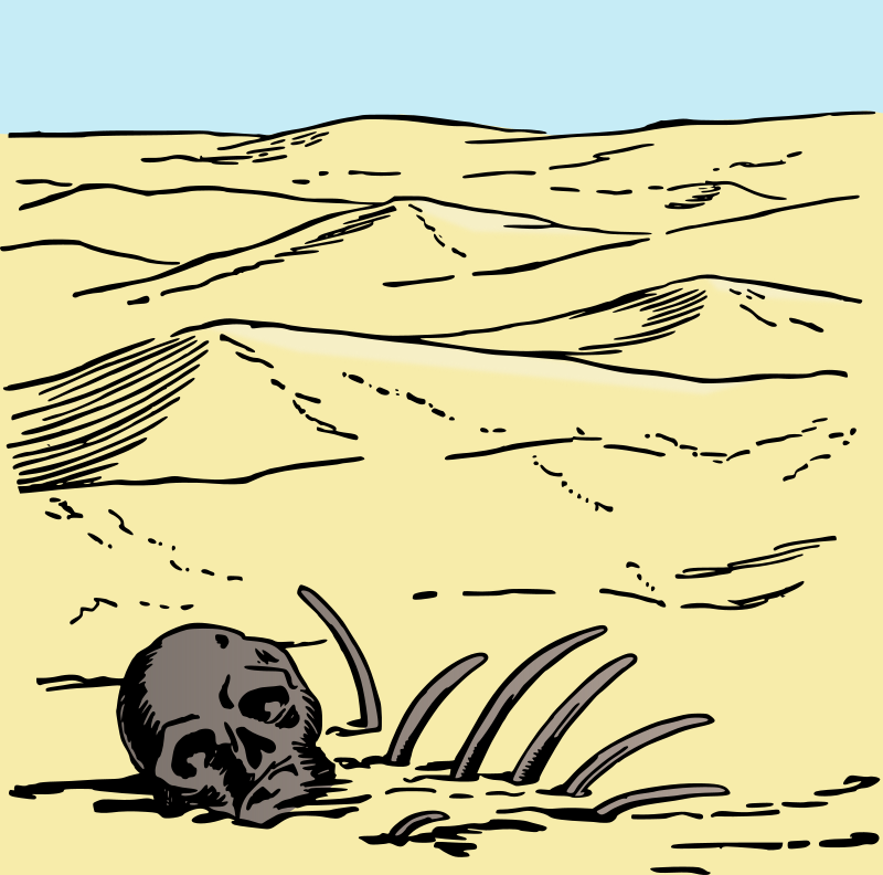 Skeleton in the Desert - Colour Remix