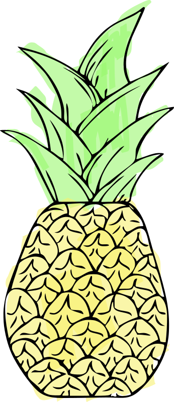 Pineapple - Colour Remix