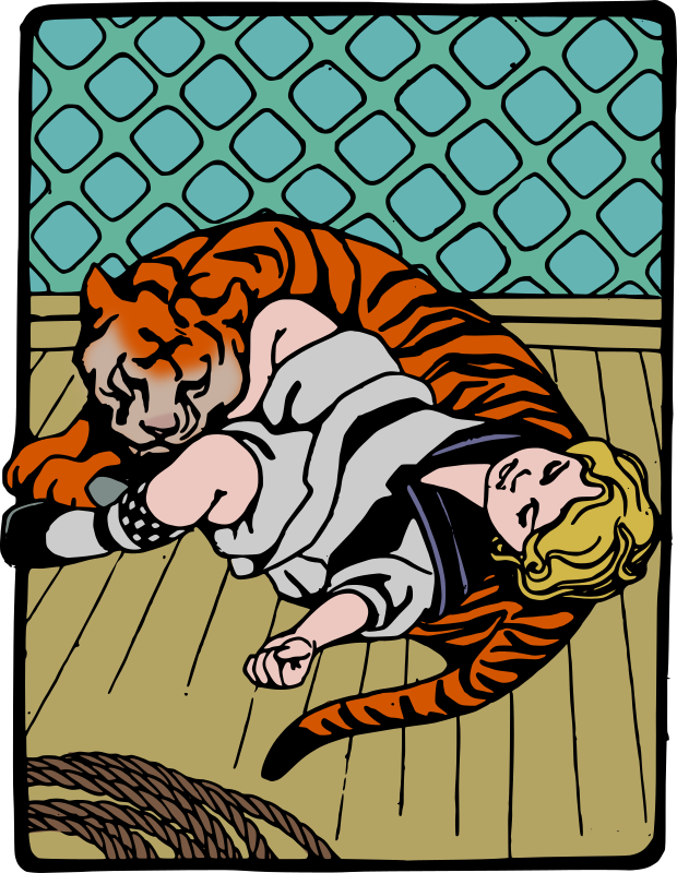 Sleeping with a Tiger - Colour Remix