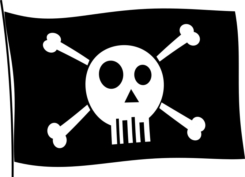 Fun Pirate Flag