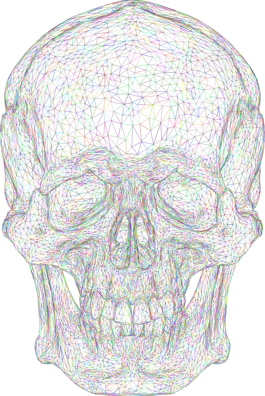 3D Skull Face Wireframe Colorful