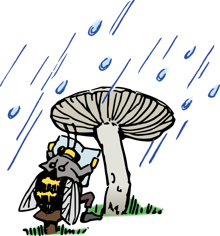 Bee in the Rain - Colour Remix