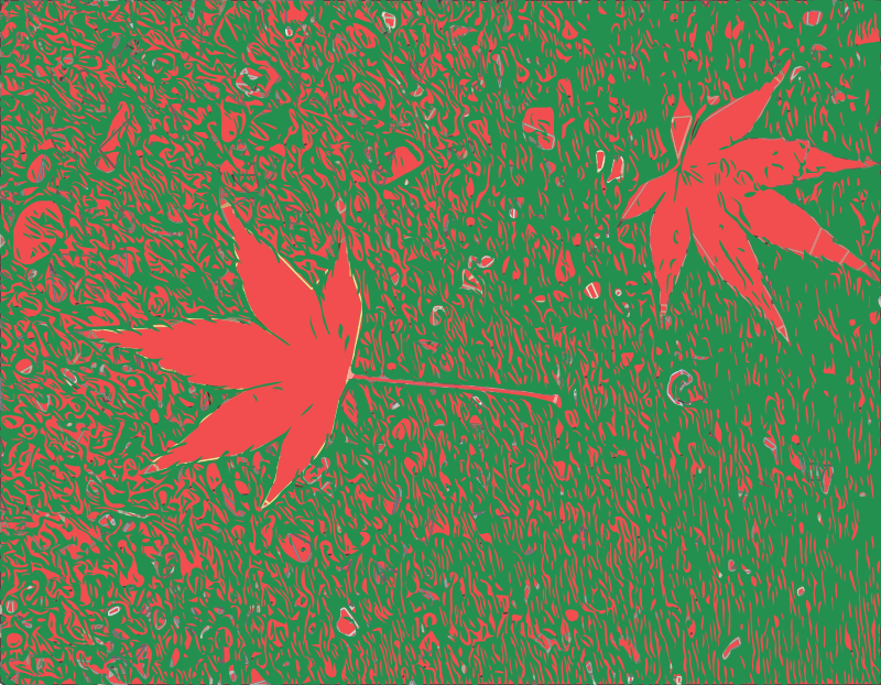 Two Autumn Leaves
