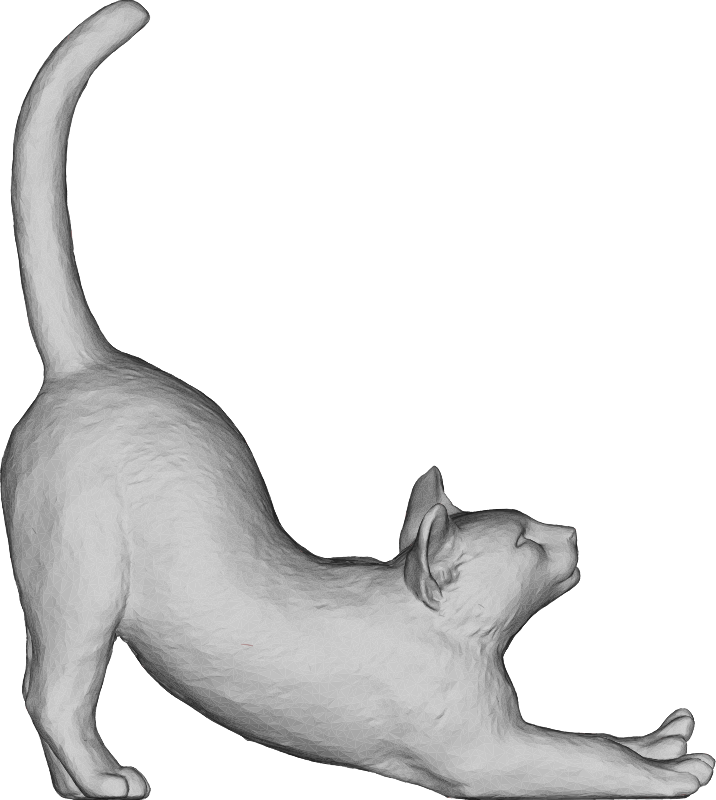 Stretching Cat 3D