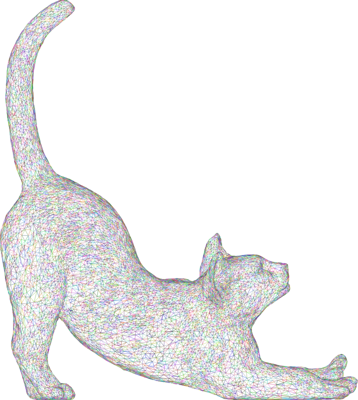 Stretching Cat 3D Wireframe Colorful