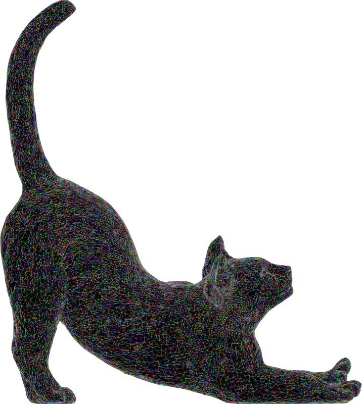 Stretching Cat 3D Wireframe Colorful With Silhouette