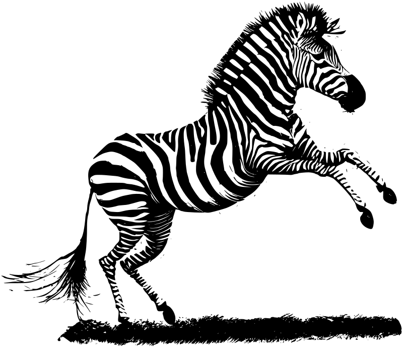 AI Zebra