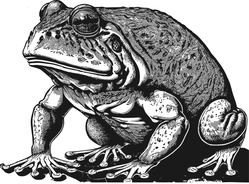 AI Frog
