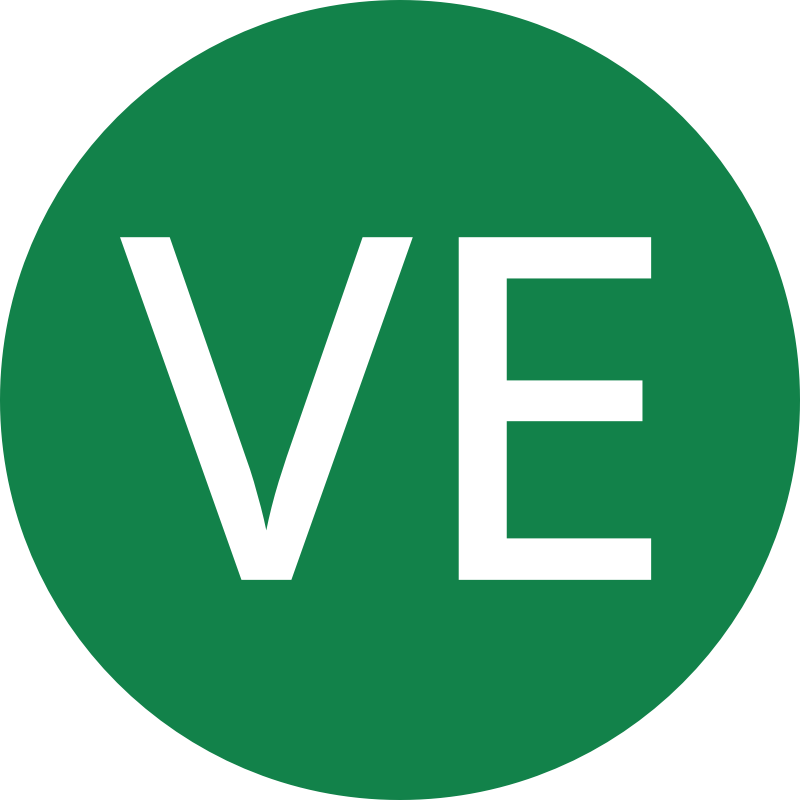 Ve vegan food symbol green circle uppercase