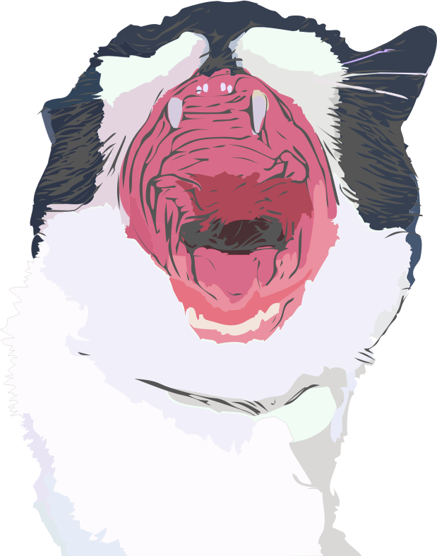 roaring yawning or laughing cute cat cartoon with outline