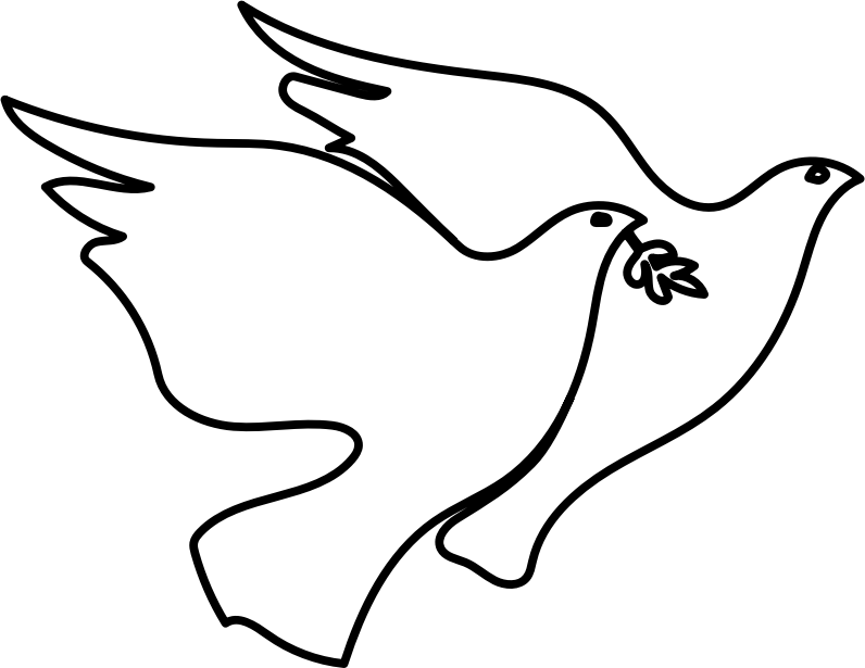 Two white peace doves together with olive branch 