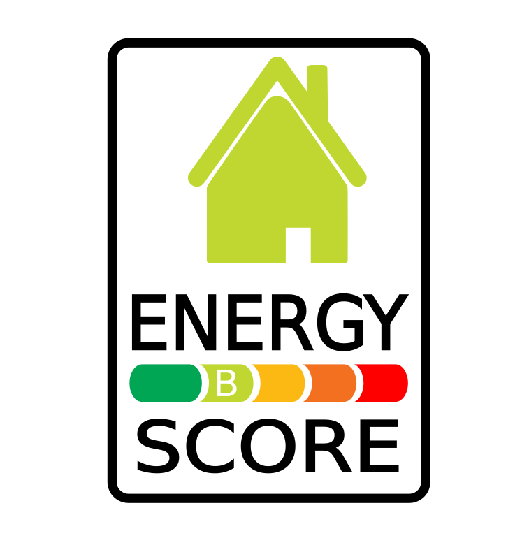 energy score alt