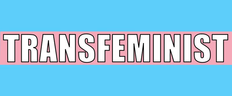 Transfeminist word art in trans pride stripe colors