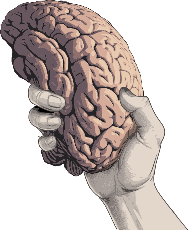 A Brain in the Hand