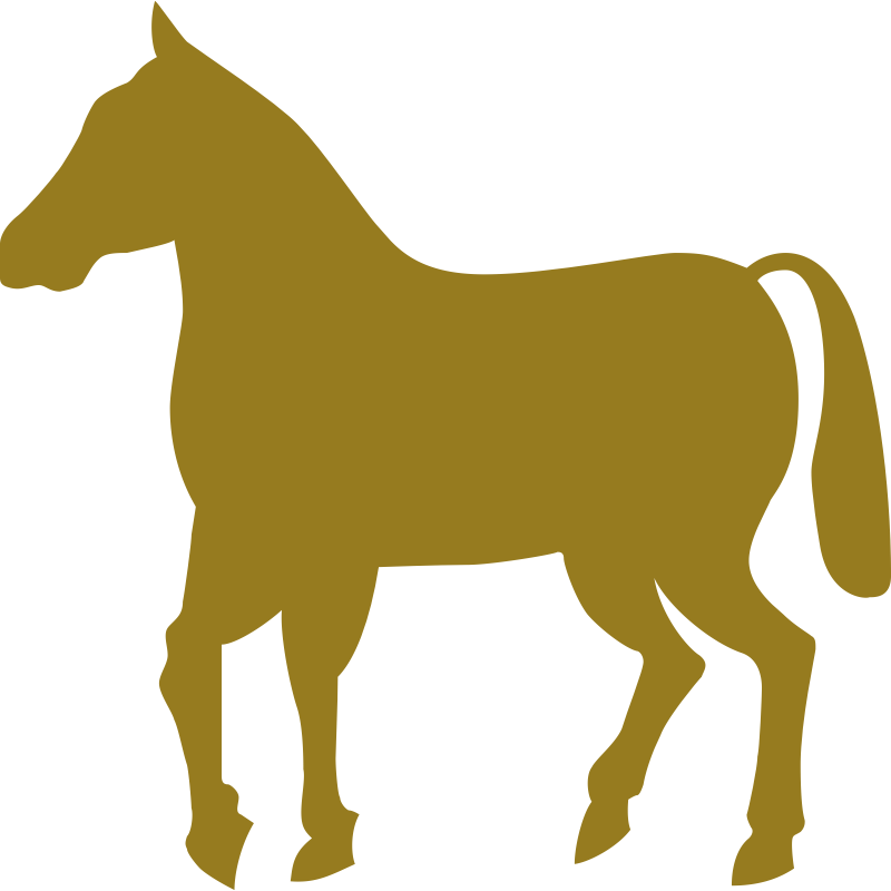 Horse without wagon