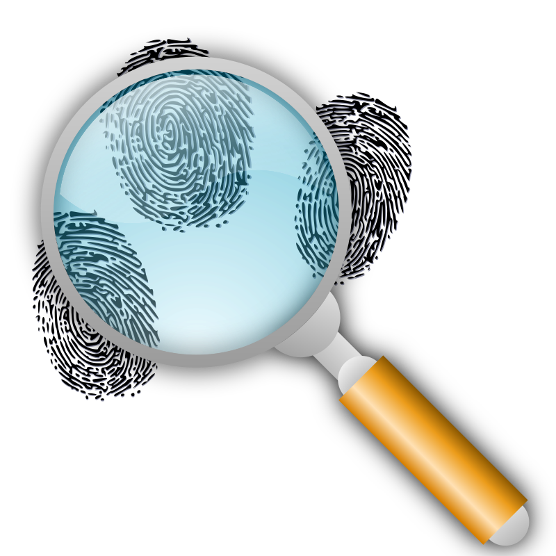 Fingerprint Search with Slight Magnification