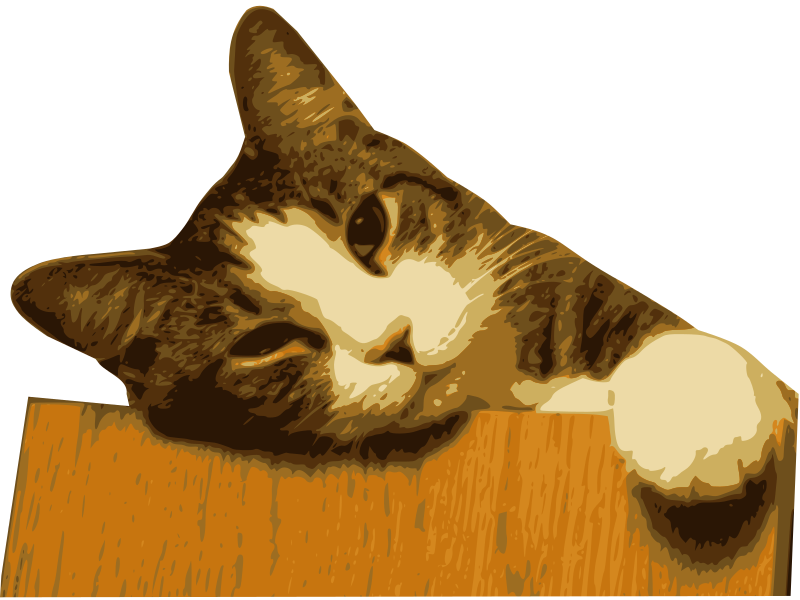 Relaxed cat (bg removed)